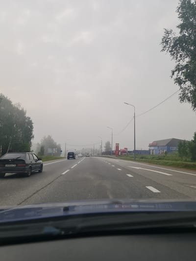 The image shows a cloudy, overcast day on a highway outside of Vdovina, Russia. The perspective is from inside a vehicle looking forward. Several cars are visible on the road, including a black sedan in the left lane and a dark minivan in the right lane. Trees line both sides of the road, with fog obscuring the distant landscape. A blue building with a red sign, possibly a store or business, is visible on the right side of the road. A red fuel pump is also present on the right. Traffic lights and streetlights are visible along the highway. The road is paved and marked with white lines, indicating multiple lanes of traffic.