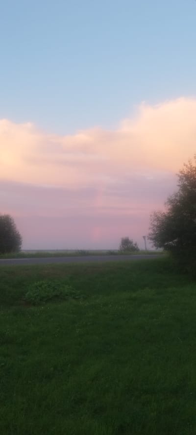 A vertical, low-angle, medium shot captures a serene landscape with a sky transitioning from pale blue to soft pink and orange hues due to sunset. Wispy clouds adorn the upper portion of the sky, with a faint rainbow appearing in the middle distance. Below the sky, a hazy, flat horizon is visible, featuring distant trees and a faint road. In the foreground, a patch of lush green grass is illuminated by the fading sunlight, with some low-lying plants scattered within it. The scene is dominated by a peaceful and tranquil atmosphere. The image was taken in the vicinity of the village of Sin'kovsky Sel'sky Sovet, Belarus, likely during the evening hours.