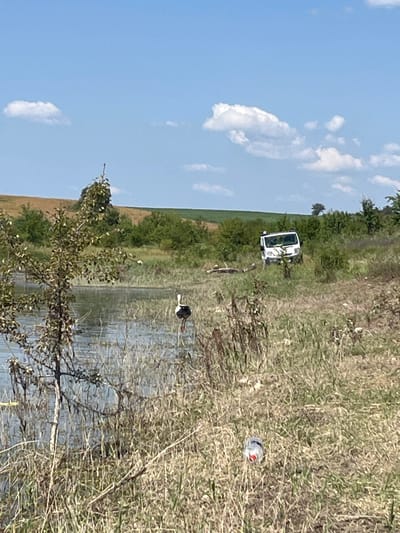 The image captures a scenic rural landscape in Lovets, Bulgaria, under a clear blue sky with scattered white clouds. The scene is dominated by a body of water, likely a river or lake, with its surface reflecting the surrounding vegetation and sky. A white vehicle, possibly a van, is parked on a grassy embankment beside the water.

A notable detail is a stork standing in the shallow water, its black and white plumage contrasting with the watery environment. The vegetation is lush, with trees and tall grasses lining the banks. In the foreground, dry grasses and some branches suggest the edge of the land. On the right side of the image, a discarded plastic bottle with a red cap is visible amongst the dry grass, indicating a possible human presence and the unfortunate reality of litter in natural settings.

The overall impression is one of a tranquil natural setting, interrupted only by the presence of the vehicle and the discarded bottle. The time of day appears to be daytime, with the bright sky and clear visibility suggesting fair weather. The location cues, such as the vegetation and the presence of a stork, are consistent with a rural Bulgarian environment. No visible text is present in the image.