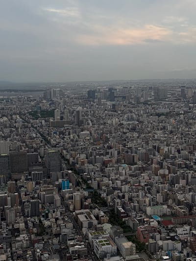 An aerial, high-angle, wide shot captures a dense urban landscape in Sumida, Japan, under a hazy, overcast sky. The city sprawls extensively, characterized by a multitude of buildings of varying heights, predominantly rendered in muted tones of gray, white, and brown. Numerous skyscrapers punctuate the skyline, interspersed with lower-rise residential and commercial structures. A prominent, dark green park or densely treed area is visible in the midground. A narrow, serpentine waterway, likely a canal or river, dissects a portion of the cityscape, flanked by buildings and some vegetation. Streets and roads are discernible, forming a grid-like pattern in some areas and winding pathways in others, with a few vehicles appearing as small, indistinct shapes. The overall impression is one of a highly developed, densely populated metropolitan area.