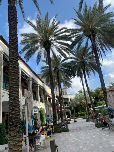 The image depicts an outdoor scene in West Palm Beach, Florida, United States of America, featuring a row of palm trees lining a pedestrian walkway. The view is from a low angle, looking upwards towards the sky and the palm trees' canopies. The sky is blue with scattered white clouds.
On the right side of the walkway, there are people seated at tables under large umbrellas. Some of these individuals are interacting with each other, while others appear to be relaxing or looking at their phones. The architecture of a multi-story building is visible behind the palm trees and the seating area. The building has a white facade with a red-tiled roof. The pathway is paved with a pattern of light-colored tiles.
