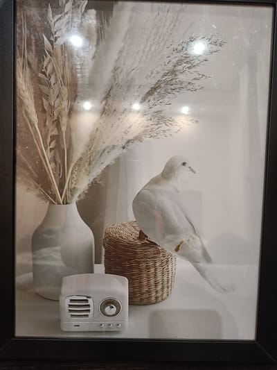 This is a framed print featuring a still life with a decorative arrangement. The main subjects include a white dove perched on a woven basket, a minimalist white vase filled with dried pampas grass and other decorative reeds, and a small, retro-style white radio with a silver dial and grille. The scene is set against a neutral, light-colored background that appears to be indoors, possibly on a tabletop. The overall aesthetic is soft and airy, with a focus on natural textures and muted tones. The lighting in the print creates some bright reflections on the glass, suggesting an overhead light source. The white dove is depicted in profile, looking to the right, with a small reddish-brown marking visible on its back. The pampas grass is tall and feathery, adding a sense of volume and movement to the arrangement. The woven basket has a rough, textured surface. The radio is small and compact, with horizontal vents and several small buttons at the bottom. There is no visible text within the print itself. The image is framed by a simple black border.