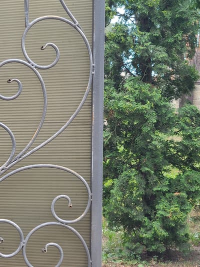 The image shows a close-up of a decorative metal gate with a patterned background. The gate features intricate scrollwork in a muted gray metal. Behind the gate, lush green foliage from a conifer tree is visible, with small light green buds or cones scattered throughout. The tree's branches and leaves create a dense canopy, allowing glimpses of the bright sky through the gaps. The background behind the tree appears to be a blurred landscape, possibly with buildings or other greenery. The setting appears to be outdoors, likely a garden or yard. There is no activity or event taking place, as the image is a still shot focusing on the texture and detail of the gate and the natural elements behind it. The lighting suggests it could be daytime, with natural light illuminating the scene. There is no visible text in the image. The overall mood is calm and serene, highlighting the contrast between the man-made decorative gate and the organic beauty of the tree.