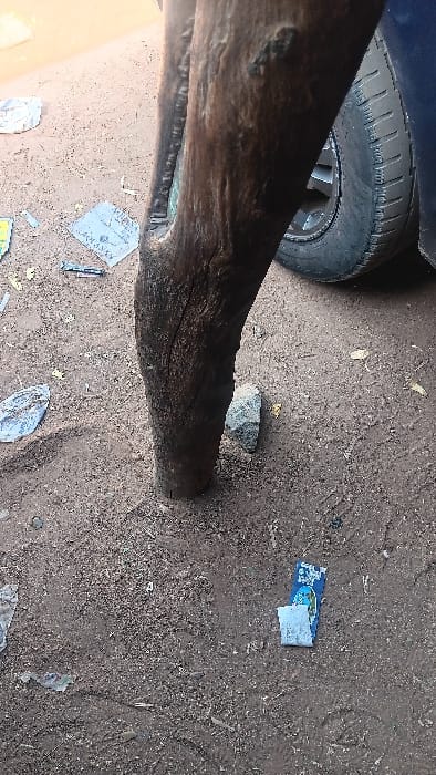The image depicts an outdoor ground-level scene in Langtang, Nigeria. A thick, dark brown, weathered wooden post or tree trunk is centrally positioned, extending vertically from the bottom edge towards the upper-middle of the frame. The post features visible cracks and a distinct vertical groove along its left side, within which appears to be embedded or coated a greenish-blue substance. Its base is firmly set into the dark brown, earthy ground.
To the right of the wooden post, the lower portion of a dark-colored vehicle's wheel and tire is visible, with the black tire's tread pattern partially discernable. The ground consists of loose, dark brown soil mixed with small particulate matter. Scattered across the ground are several pieces of crumpled white paper or plastic, some showing faint blue or black markings. A blue pen lies near one of these crumpled papers in the upper-left quadrant. A small, light grey rock rests on the ground to the immediate right of the wooden post's base. Further towards the bottom right, a small, rectangular object with blue and white colors is visible on the soil. No individuals are present, and no discernible actions or interactions are taking place.