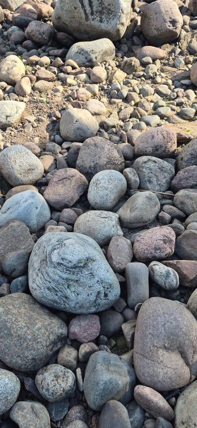 The image displays a close-up, overhead view of a rocky shoreline in Моторное, Russia. The ground is covered with a dense assortment of rounded stones of varying sizes, colors, and textures. The stones are predominantly shades of gray, brown, and pink, with some exhibiting visible grain or mineral patterns. Small tufts of dry grass and sparse green vegetation are interspersed between the rocks. Sunlight casts shadows, indicating an outdoor setting, likely during daylight hours. There are no people or animals visible in the image, nor are there any man-made objects. The scene is natural and appears to be a typical coastal or riverbank environment.