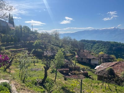 This image depicts a rural scene in Dolene, Bulgaria. The foreground features a grassy hillside with various trees and vegetation. Scattered on the hillside are several old, stone houses with red-tiled roofs, some appearing dilapidated. In the background, a dense forest extends toward snow-capped mountains under a blue sky with scattered clouds. A sun flare is visible in the upper left portion of the image.