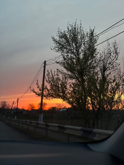 The image captures a sunset scene from inside a vehicle, looking out onto a rural or semi-rural roadside in Alexandrovka, Russia. The sky dominates the frame, showcasing a dramatic vertical gradient of colors. On the far right, intense yellow and bright orange hues mark the horizon where the sun is setting, transitioning to softer pinks and oranges towards the center, and fading into a muted grey-blue on the far left.
In the mid-ground and foreground, a large, dark tree with some visible green leaves stands prominently against the colored sky, its branches extending across the upper part of the frame. Below it, a utility pole supports several electrical wires that stretch diagonally across the sky. Another smaller utility pole is visible further down to the right.
Along the bottom right of the image, a striped black and white guardrail runs vertically, separating the road from the adjacent landscape. Beyond the guardrail, silhouetted bare trees and distant structures, possibly houses, are visible against the vibrant sunset glow. A part of the car's interior, likely a window pillar, frames the scene on the far right.
The overall impression is one of peaceful observation during twilight, with the setting sun creating a serene and atmospheric backdrop. No discernible text is visible in the image.