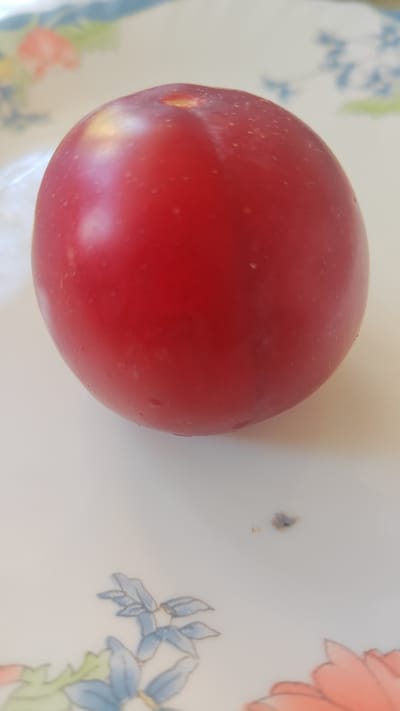 A single, ripe red plum rests on a decorative white plate. The plum is round and smooth, with a slight sheen indicating it may be slightly damp. The plate has a delicate floral pattern in blue, green, and coral hues. The background is out of focus, but appears to be a continuation of the plate or a similar surface. A small, dark speck, possibly a piece of debris, is visible on the plate below the plum. The image has a shallow depth of field, with the plum being the primary subject in sharp focus.