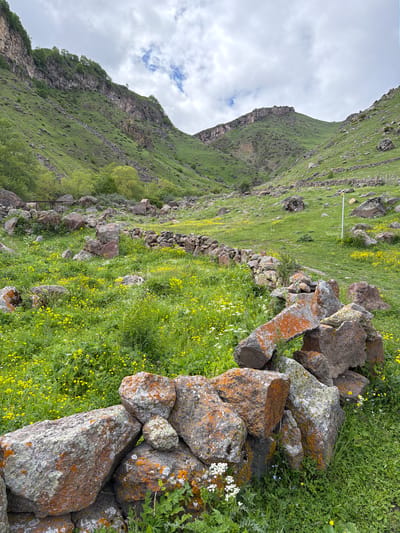 The image depicts a rocky, mountainous landscape in Arsha, Georgia. The foreground is dominated by a low, weathered stone wall, constructed from large, irregular rocks, many of which are covered in orange lichen. Beyond the wall, a field of lush green grass is dotted with numerous small yellow wildflowers and some white blossoms. In the mid-ground, another, longer stone wall stretches across the terrain, following the contour of the land. The background features steep, verdant mountainsides, with rocky outcrops and scattered trees. The sky is overcast with scattered clouds, suggesting a possibly cool or damp day. The scene appears to be a natural, undeveloped environment. There are no people visible in the image.