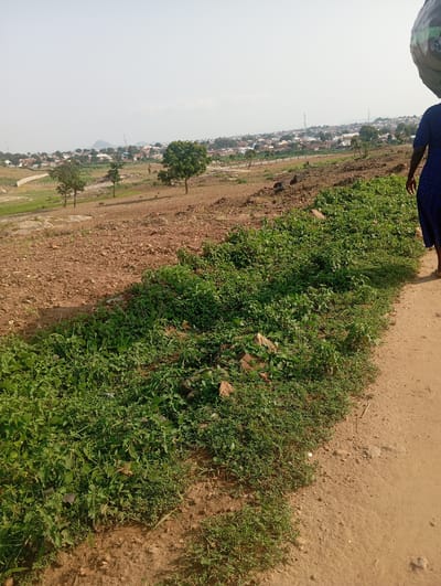 A person, seen from behind and from the waist down, is walking along a dirt path on the right side of the frame. They are wearing a blue dress with a patterned design. They are carrying a large, light-colored bundle on their head. The path is bordered by a dense growth of green vegetation on the left. In the midground, the terrain slopes downwards, revealing dry, reddish-brown soil with scattered rocks. A few small trees are visible in this area. Further in the distance, a town is spread out, with numerous buildings and some taller structures. In the far background, a hazy mountain range is visible under a bright, pale sky. The overall scene depicts an outdoor environment with a populated area in the distance.