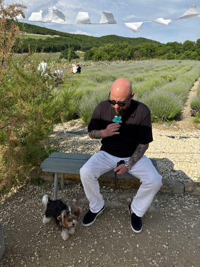 A bald man with a beard and sunglasses is sitting on a green wooden bench in a lavender field. He is wearing a black t-shirt and white linen pants. In his right hand, he is holding a blue flower-shaped object. To his left, a small Yorkshire Terrier is standing on the gravel ground. In the background, there are rows of lavender plants, green hills, and trees. White flags are strung across the top of the frame. The scene appears to be outdoors in a rural setting, possibly in the city of Semogorskiy, Russia.