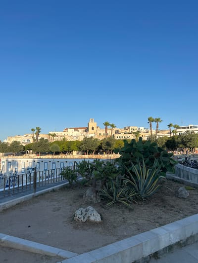 A wide shot captures the waterfront promenade and town of Otranto, Italy, under a clear, bright blue sky. In the foreground, a patch of dry, sandy earth contains several large, spiky plants, including prickly pear cacti and a variegated agave. Scattered rocks and dried vegetation are visible in the soil. A low, light-colored concrete barrier lines the edge of the promenade.
Beyond the foreground, a row of white beach huts with blue trim and closed shutters runs horizontally. A wooden railing separates the huts from the promenade area. Beyond the huts, a line of green trees forms a dense canopy, with palm trees interspersed among them.
In the background, the town of Otranto rises against the sky. Buildings are primarily light-colored, with terracotta roofs. A prominent bell tower of a church, made of stone, stands out in the center of the town. A few distant figures can be seen walking along the promenade behind the trees, and several bicycles are parked to the right of the frame. The overall impression is one of a tranquil, sunny day by the sea.