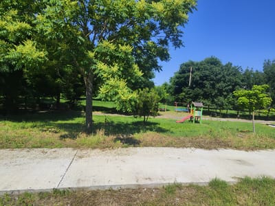 The image depicts an outdoor scene in the city of Roza, Bulgaria, characterized by a bright, clear blue sky. In the foreground, a concrete path runs horizontally across the frame, bordered by dry grass and sparse green vegetation. Beyond the path lies a grassy area with scattered trees and shadows cast by their foliage. To the right of the grassy area, a small children's playground is visible. It features a colorful play structure with a red slide, and to its left, a blue bench or seating area. Several trees, some with abundant green leaves, are distributed throughout the scene, with one large tree prominently positioned on the left side of the frame. In the background, a dense line of trees forms a natural boundary. The overall impression is one of a park or recreational area on a sunny day.