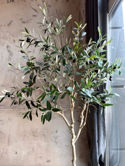 A tall, artificial olive tree stands in a room. The tree has dark green leaves and clusters of black olives. The trunk and branches are a light, woody brown. In the background, a textured, neutral-colored wall is visible. To the right of the tree, a dark gray curtain is partially drawn, revealing a window with diffused light. The scene does not contain any people or indicate a specific location in the city of Volochysk, Ukraine.