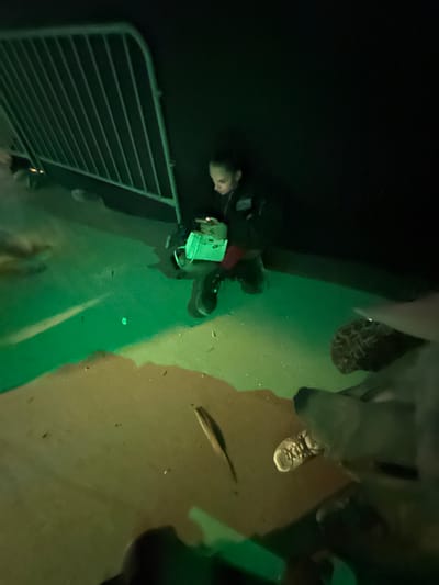 The image shows a scene, possibly at night, featuring multiple people and objects.

A person is lying on the ground near a metal gate. Another individual is holding a green object. There's a fish visible on the ground, and other people are standing in the background.

Due to the lack of clarity, determining if the scene is in Giza, Egypt is not possible.