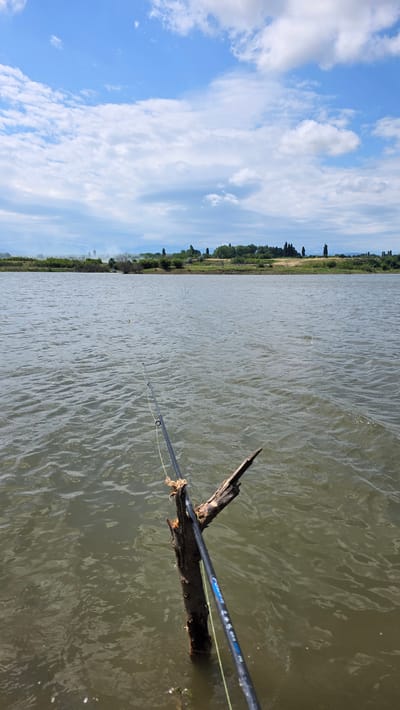 A fishing rod is anchored to a submerged piece of driftwood in a body of water. The water's surface is rippled by a gentle breeze. In the background, a lush green shoreline is visible, dotted with trees. Beyond the shoreline, a range of distant mountains can be seen under a bright blue sky filled with fluffy white clouds. There are no people present in the image.
