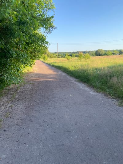 This media file depicts an outdoor scene, likely in Yablunivka, Ukraine, viewed from the perspective of someone walking or standing next to a rural asphalt road. The road is the dominant element in the foreground, taking up a significant portion of the frame. It appears to be slightly cracked and textured, with a light-colored shadow cast across it, suggesting it is late afternoon or early morning, and the sun is low in the sky.

To the left of the road, lush green foliage, possibly trees and bushes, creates a dense border. Beyond this greenery, a field of tall, golden-brown grass or crops stretches into the distance, catching the sunlight and appearing vibrant. Further back, a line of trees forms a darker green horizon.

Above the landscape, a clear, bright blue sky dominates the upper portion of the image. Faintly visible are a few thin, parallel lines stretching across the sky, which appear to be power lines supported by a distant utility pole.

There are no people or animals visible in the image. The overall mood is peaceful and natural, evoking a sense of rural tranquility. The lighting suggests a pleasant, sunny day with warm temperatures. No text is visible in the media file.