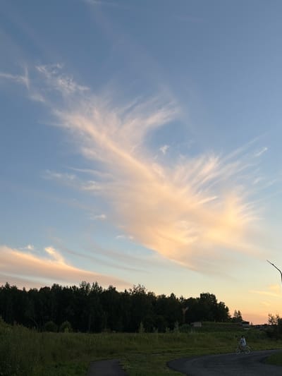 The image depicts a natural scene with a focus on the sky and a rural landscape. The sky is a prominent feature, with wispy, feather-like clouds tinged with soft orange and yellow hues, suggesting either sunrise or sunset. The lower portion of the image shows a dark line of trees, indicating a forest or dense woodland. To the right of the trees, a grassy field stretches out, with a paved path or road cutting through it. On the path, a person is visible on a bicycle, appearing to be riding or standing still. The overall impression is one of a peaceful, late afternoon or early morning in a rural setting. The sky's colors evoke a sense of calm and beauty. There is no visible text in the image.