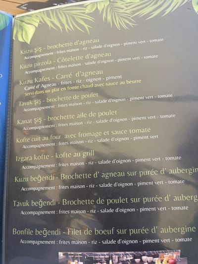 This close-up photograph displays a menu page from a restaurant located in Saint-Just-Saint-Rambert, France. The page features a dark, glossy background adorned with light green, palm-like leaf motifs across the top and partially visible on the left and right margins. White and light yellow-green text lists various French descriptions of Turkish dishes and their accompaniments. The visible menu items include: * "Kuzu şiş - brochette d'agneau" (lamb skewer) served with "frites maison - riz - salade d'oignon - piment vert - tomate" (homemade fries - rice - onion salad - green pepper - tomato). * "Kuzu pirzola - Côtelette d'agneau" (lamb chop) with "frites maison - salade d'oignon - piment vert - tomate". * "Kuzu Kafes - Carré d'agneau" (rack of lamb) with "frites - riz - oignon - piment" (fries - rice - onion - pepper), specified as "servi dans un plat en fonte chaud avec sauce au beurre" (served in a hot cast iron dish with butter sauce). * "Tavuk şiş - brochette de poulet" (chicken skewer) with "frites maison - riz - salade d'oignon - piment vert - tomate". * "Kanat şiş - brochette aile de poulet" (chicken wing skewer) with "frites maison - riz - salade d'oignon - piment vert - tomate". * "Kofte cuit au four avec fromage et sauce tomate" (oven-baked kofte with cheese and tomato sauce) with "frites maison - riz - salade d'oignon - piment vert". * "Izgara kofte - kofte au grill" (grilled kofte) with "frites maison - riz - salade d'oignon - piment vert - tomate". * "Kuzu beğendi - Brochette d'agneau sur purée d'aubergine" (lamb skewer on eggplant puree) with "frites maison - riz - salade d'oignon - piment vert - tomate". * "Tavuk beğendi - Brochette de poulet sur purée d'aubergine" (chicken skewer on eggplant puree) with "frites maison - riz - salade d'oignon - piment vert - tomate". * "Bonfile beğendi - Filet de boeuf sur purée d'aubergine" (beef fillet on eggplant puree) with "frites maison - riz - salade d'oignon - piment vert - tomate". The page exhibits slight glare from ambient lighting, particularly noticeable in the upper and lower central portions, suggesting a glossy surface material for the menu. No people are visible, and no actions or interactions are depicted beyond the static presentation of menu information. A faint blue binding or edge of another page is visible along the left margin of the image.
