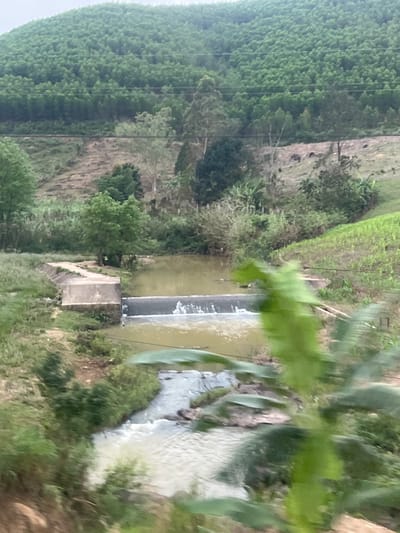 This image depicts a rural landscape in Myui, Vietnam. The central feature is a segmented river or large stream flowing from background to foreground. A concrete weir or small dam spans the water in the midground, causing a cascade of aerated, light brown water. Upstream from the weir, the water is calm and murky brown. Downstream, the water becomes turbulent and lighter in color, flowing over visible rocks.
On the left bank, adjacent to the weir, a concrete structure, possibly an irrigation channel or embankment, extends into the midground. The banks are covered with green grass, various bushes, and scattered trees of varying sizes and foliage densities. A sloped, somewhat cleared dirt area with sparse vegetation is visible on the right bank.
The background features a prominent hill densely covered with a uniform pattern of light green trees, characteristic of a planted forest. Below this primary treeline, a band of lighter, less vegetated terrain with some sparse trees separates the hill from the midground vegetation. Multiple horizontal utility lines traverse the mid-upper background. No individuals or animals are present in the scene. The overall environment suggests a managed natural landscape.