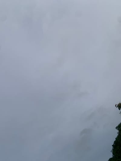 The image shows a cloudy sky with a portion of dense green foliage on the right side of the frame. The foliage appears to be trees or bushes. The sky is predominantly gray with some lighter and darker patches indicating cloud formations. There is a hint of a figure or figures within the foliage on the upper right edge of the image, possibly people observing the surroundings or engaged in an activity within the trees. The scene appears to be an outdoor environment, possibly a natural or semi-natural area within the city of Assob Hausa, Nigeria, given the lush vegetation.