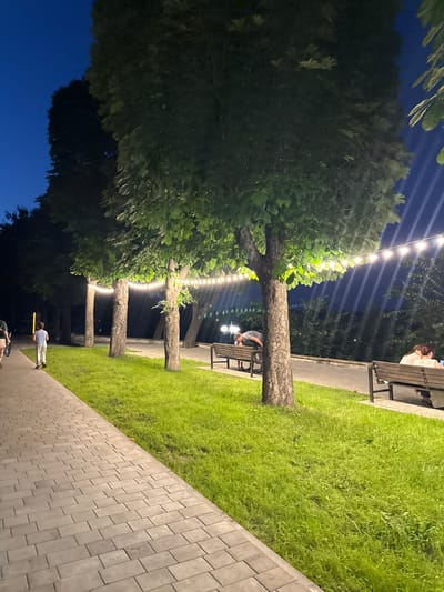This image depicts an outdoor scene at dusk or night, likely in Novokuli, Russia, given the context. The foreground is dominated by a paved walkway made of rectangular grey bricks, leading into the distance. To the left of the walkway, a lush green lawn stretches out, bordered by several trees with thick trunks. String lights are draped between these trees, emitting a warm glow that illuminates the area and creates streaks of light across the dark blue sky.

In the background, several people are visible. On the far right, two individuals are seated on a wooden bench, with one appearing to be a woman with dark hair. Further along the walkway, another person is bending down near a bench, partially obscured by a tree trunk. Towards the bottom of the frame, a person in a light-colored shirt and pants is walking away from the camera, holding a yellow object. Another person is partially visible at the very bottom left, near a bicycle. The overall atmosphere appears relaxed and peaceful, suggesting a public park or an outdoor seating area for an establishment. The time of day is evident from the dark sky and the artificial lighting.