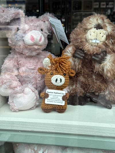 This image, captured in Aberfoyle, United Kingdom, showcases a charming display of plush toys, likely in a shop window or on a shelf. The scene is composed of three distinct stuffed animals, each with a unique texture and appearance.

Dominating the top of the frame is a large, fluffy light brown plush toy that resembles a beaver or groundhog. It features a cheerful expression with prominent white teeth, small black eyes, and textured dark brown, padded paws or feet. Its shaggy fur adds to its cuddly appeal.

Positioned below and slightly to the right is a small, intricately crocheted plush toy. This toy is a brown and cream Highland Cow, characterized by its shaggy brown yarn "mane" and tiny white crocheted horns. A white tag is attached to its side, bearing an uplifting message: "Positive Highland Cow Don't underestimate yourself. I believe in you. Keep moo-ving forward, no matter the challenge!"

At the bottom of the display rests a large, soft, light pinkish-grey plush toy, possibly a bunny or a bear. Its long, fluffy fur gives it a delicate texture, and a soft pink inner ear is visible.

The toys are set against a blurred background, suggesting a retail environment, with a clear white wooden frame or shelf edge visible along the right side of the image. The lighting is even, highlighting the details of each toy and contributing to a warm, inviting atmosphere. The overall scene captures a delightful collection of soft toys awaiting adoption.