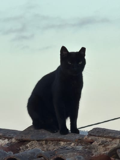 A black cat sits on a weathered stone wall, silhouetted against a pale sky with faint cloud formations. The cat is facing forward, its green eyes visible. The wall is made of rough, uneven stones, with some tiles visible on the lower part of the image. In the background, a thin dark line, possibly a wire or cable, stretches horizontally across the frame, and beyond that, the indistinct shapes of trees or buildings are visible against the light sky. The image appears to have been taken in Loulé, Portugal, given the characteristic architecture of the region.