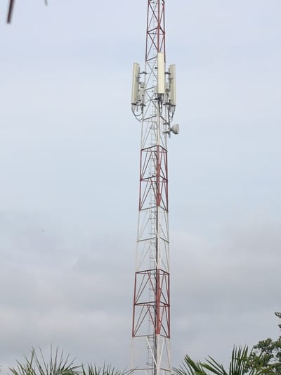 A tall telecommunications tower stands against a cloudy sky. The tower is made of a lattice structure with red and white bracing. Several rectangular antennas are mounted on the tower, along with a circular dish antenna. The base of the tower is obscured by palm fronds. A small dark object, possibly a bird, is visible in the sky to the left of the tower. The scene appears to be in a rural or semi-rural area, as indicated by the presence of palm trees. The location is the city of Kaninkon, Nigeria.