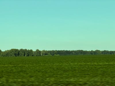 The image depicts a wide, flat expanse of vibrant green grass under a pale turquoise sky. A dense line of green trees forms the horizon, separating the field from the sky. The trees are varied in height and texture, suggesting a natural forest or woodland. The sky is clear and almost featureless, with a subtle gradient from a lighter shade at the bottom to a slightly deeper shade at the top. The overall impression is one of a serene, rural landscape. The scene is likely a field in Posevnaya, Russia, given the presence of such natural scenery common to the region. There are no people or animals visible in the frame.
