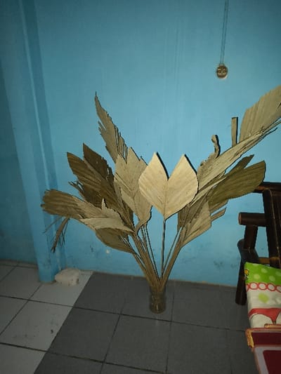 This image depicts an indoor scene within the city of Tarqumiyah, Palestinian Territory. The primary subject is a large arrangement of dried, fan-shaped leaves, exhibiting a light brown to beige coloration, positioned upright in a clear cylindrical container at the center of the frame. The leaves display varying sizes and textures consistent with dried botanical material, with some edges appearing jagged or frayed.
The background consists of a solid light blue-painted wall, showing minor surface imperfections and vertical streaking. In the upper right quadrant, a single, bare incandescent lightbulb hangs from a wire against the blue wall, providing illumination. The floor is covered with square tiles, transitioning from a lighter gray or off-white on the left side to a darker gray under the plant and to the right.
On the far right, a portion of a dark brown wooden chair, possibly constructed from bamboo or similar material, is visible. A patterned cushion or pillow, featuring a white background with green polka dots and a red and white design, rests on the chair. A small, irregular white object is situated on the floor near the base of the wall in the lower-left quadrant. No individuals, overt actions, or interactions are discernible.
