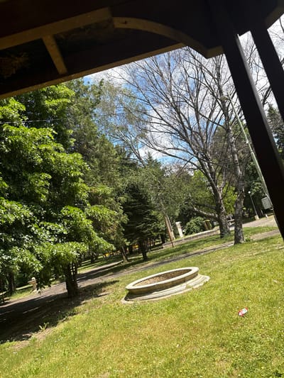 The image depicts a view from a semi-enclosed structure, potentially a gazebo or porch, overlooking a park-like setting. The location is purportedly Doganovo, Bulgaria. Dominating the landscape is a large deciduous tree, mostly bare of leaves, with its branches reaching towards a partly cloudy sky. The tree is surrounded by other trees and greenery.
In the middle ground, there is a grassy area with two circular concrete structures side-by-side, likely decorative planters or similar features. A paved pathway runs adjacent to the grassy area.
In the background, more trees and park features can be seen. The overall scene suggests a peaceful outdoor environment within a park or garden setting. There is a piece of trash on the ground in the distance. There are no people visible in the image.