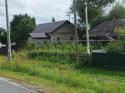 The image shows a rural scene in the city of Kargal, Russia, featuring two houses and vegetation. The house on the left is a modern, two-story brick building with a dark brown, sloped roof. It has several windows and a smaller attached structure with a corrugated metal roof. The house on the right is older, a single-story wooden structure with a grey, corrugated metal roof and visible logs. A chimney is present on its roof.

The houses are surrounded by tall green grass and various trees. A dark green fence encloses part of the property on the right. A wooden picket fence runs in front of the brick house, partially obscured by the grass. Power lines are visible stretching across the sky, supported by a utility pole on the right side of the frame. The road or path is visible in the foreground, suggesting the image was taken from a moving vehicle. The overall atmosphere is that of a residential area in a rural setting.