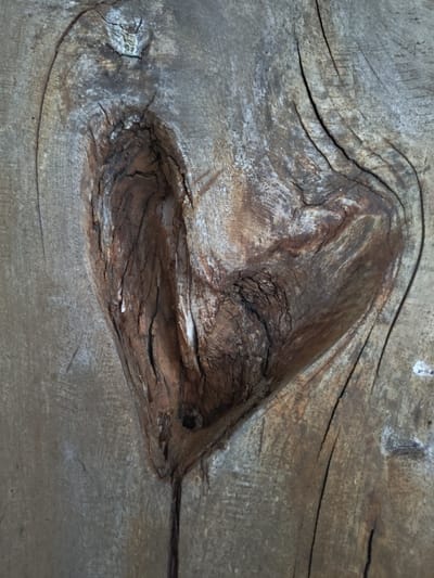 This image presents a forensic, close-up view of an aged and weathered wooden surface, specified as being located in Petrich, Bulgaria. The central subject is a distinct, deep, heart-shaped indentation within the wood, characterized by a darker, rich brown hue and a textured, cavernous appearance. The surrounding wood displays varying tones of grey, light brown, and reddish-brown, permeated with numerous linear cracks and pronounced, undulating grain patterns. These features suggest significant exposure to elements and natural aging. No people, animate subjects, or explicit actions are present within the frame, focusing solely on the intricate details and distressed texture of the wooden object.