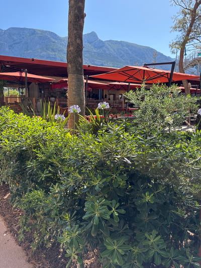 This is a vertical, medium-shot, outdoor photograph taken on a sunny day in Makarska, Croatia. In the foreground, lush green bushes with small, glossy leaves dominate the lower half of the frame, with some lighter green foliage interspersed throughout. Two delicate, light purple Agapanthus flowers are visible amongst the greenery. A thick tree trunk, partially wrapped with burlap, stands to the right of center.

Behind the bushes and tree, a restaurant or cafe with bright orange umbrellas covering outdoor seating areas is visible. Tables and chairs are set up under the umbrellas. In the background, a large, rugged mountain range with jagged peaks rises against a clear blue sky. The overall scene suggests a pleasant outdoor dining experience with a scenic backdrop.