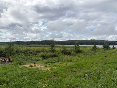 The image shows a natural landscape with a body of water in the background, bordered by a dense forest. The foreground is a grassy field with scattered small trees and some wooden debris on the left. The sky is overcast with heavy clouds, with occasional glimpses of blue sky. The scene appears to be a rural or undeveloped area, possibly on the outskirts of the village of Пакли, Russia, given the presence of natural features common to the region such as forests and water bodies. There are no people or animals visible in the image.