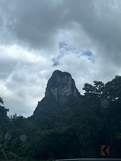 The image shows a dramatic, overcast sky with large, gray clouds interspersed with patches of blue. A steep, rocky cliff face covered in dark green vegetation dominates the right side of the frame, with its peak obscured by the trees and clouds. The cliff has visible layers of rock. In the upper right corner of the image, a yellow traffic sign with a black chevron pointing left is attached to a pole or tree. The foreground shows the tops of some tall, dry grass. The overall impression is one of a lush, rugged natural landscape under a brooding sky, possibly indicative of impending rain or recent rainfall. The scene appears to be outdoors in a natural setting, possibly a mountainous or cliff-side area. The time of day is difficult to ascertain due to the overcast conditions, but the lighting suggests it is daytime. There is no visible activity or people in the image.