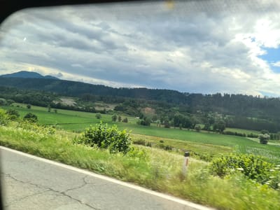 The image depicts a rural landscape in the vicinity of Kadöll, Austria, viewed from a moving vehicle. The foreground is dominated by a cracked asphalt road, bordered by a grassy verge with wildflowers and scattered bushes. Beyond the road, expansive green fields stretch into the mid-ground, interspersed with trees and a winding path. In the background, a dense forest covers rolling hills, leading to more distant, hazy mountains under a dramatic, cloudy sky with patches of blue. The scene is characteristic of a countryside setting, likely captured during daytime.