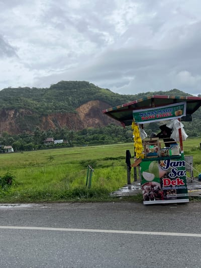 In Lampisang, Indonesia, a roadside fruit stand operates under a green and red striped canopy, displaying a banner that reads "Nanas Madu Bang Farel." The stand is laden with yellow fruit bunches hanging from the left side and various containers of ingredients and prepared items. A figure, likely the vendor, is partially visible behind the counter, wearing a dark head covering and black clothing. Below the main banner, another sign features images of guava and other fruits, with text that appears to say "Jam Sa Dek" and "Bumbu Asam Sunthi." The stand is positioned on a wooden platform next to a gray asphalt road with a white dividing line. In the background, a vast, green grassy field stretches towards a lush, tree-covered mountain. A section of the mountain displays a prominent landslide scar of reddish-brown earth. Scattered among the trees in the middle ground are a few simple houses. The sky is overcast with thick, gray clouds.