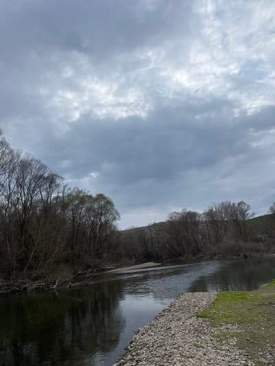 The image displays a river landscape located in Orashac, North Macedonia, under an overcast sky. The upper portion of the frame is dominated by a dense, grey cloud cover exhibiting patches of brighter illumination. A wide, dark-surfaced river occupies the middle ground, reflecting the grey sky and the surrounding environment, with visible ripples across its surface.
The far bank (viewer's left) is densely forested with deciduous trees, predominantly bare or in the early stages of budding with sparse green foliage. Fallen tree branches and natural debris are partially submerged in the river along this bank. A sandbar or shallow bank is discernible on the far side of the river, slightly to the left of the image center. Beyond the immediate tree line, low, gently sloping hills with sparse vegetation rise towards the horizon.
The near bank (viewer's right) features a substantial stretch of small to medium-sized grey river stones and pebbles, which transition into a patch of vibrant green grass growing on a dirt slope in the extreme lower right foreground. No individuals, animals, or artificial structures are present within the scene. The overall lighting is diffused, consistent with an overcast day, and the state of the vegetation suggests late winter or early spring.