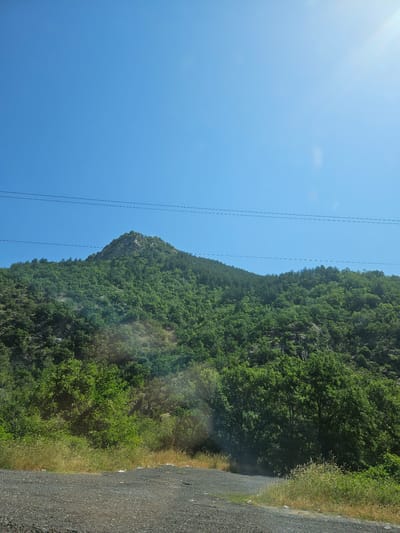 The image captures a sunlit, mountainous landscape characteristic of the region around Stara Kresna, Bulgaria. A clear, bright blue sky dominates the upper half of the frame, with visible lens flare from the sun in the upper right corner. Several dark power lines stretch horizontally across the sky. The central and upper portions of the image feature a large, heavily forested mountain or hill, with its rocky, less vegetated peak visible towards the left. The slopes are densely covered in vibrant green deciduous trees and other vegetation. The foreground consists of an unpaved, gravel road or track, curving slightly to the right, bordered by dry grass, weeds, and dense green bushes. Scattered white litter is discernible along the roadside in the lower portion of the image. No individuals or animals are present.