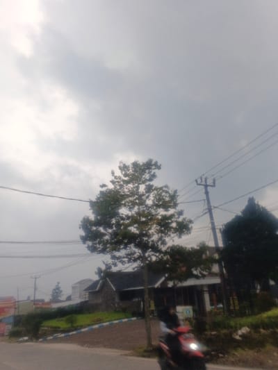 The image depicts an outdoor street scene in the city of Morrumbala, Mozambique, under an overcast sky. A single individual on a red scooter with a lit headlight is captured in motion blur, traversing from right to left across the lower mid-ground. The person is dressed in dark attire, including a head covering. A paved road occupies the lower left of the frame. Adjacent to the road, an unpaved incline transitions into a landscaped area bordered by a blue and white striped curb, featuring green vegetation. A large tree with green leaves stands prominently in the center, extending into the upper portion of the scene. In the background, several buildings with dark roofs are visible, accompanied by additional trees and dense foliage. A utility pole supporting multiple overhead power lines is present on the right, with wires extending horizontally across the upper frame. A multi-colored banner is partially visible on the far left.