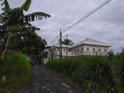 The image depicts a narrow, cracked asphalt road winding through a verdant environment in the city of Chan-Nua, Laos, under an overcast sky. In the foreground, dense green vegetation lines both sides of the road. On the left, a banana plant with large, partially torn leaves dominates the upper left quadrant. On the right, thick tall grasses and foliage rise alongside the road, with a section of barbed wire fence partially visible within the greenery.
In the midground, a two-story, white building with a distinctive reddish-brown hip roof and projecting eaves stands elevated on the right side of the road. The building features multiple rectangular windows with dark frames and horizontal gold-colored decorative bands or patterns beneath them. A utility pole with multiple black power lines originates near the road and extends diagonally across the upper right portion of the scene, passing over the white building. Beyond the immediate vegetation on the left, other structures or fences are partially visible, surrounded by additional trees. No individuals, vehicles, or animals are present.