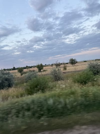 The image depicts a rural landscape under a cloudy sky. In the foreground, there is out-of-focus green foliage, suggesting movement, possibly from a vehicle. The middle ground features a field of dry, yellowish grass with scattered trees and bushes. Some of these trees appear to be young, while others are more mature. Power lines and utility poles are visible in the distance, indicating the presence of infrastructure. A few scattered buildings can be seen on the horizon. The sky is overcast with a mix of gray and white clouds, with some hints of lighter blue peeking through. The overall impression is of a natural, undeveloped area, likely a rural or agricultural region. The location provided, Пугачёв ауылдық округі, Kazakhstan, aligns with this depiction of a steppe-like or grassland environment.