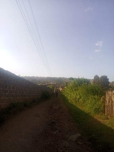 The image displays a dirt path in Kiamaina ward, Kenya, under a clear, light blue sky with minimal cloud cover. Multiple thin power lines traverse the upper portion of the sky diagonally from upper left to mid-right. The path, visible from the foreground, is unpaved, uneven, and contains visible rocks and loose soil, receding into the distance. To the left, a tall, irregular wall constructed from stone or concrete blocks extends along the path. Small green vegetation grows at the base of this wall. To the right, a strip of green grass borders the path, followed by dense green bushes and, further back, a rudimentary wooden fence. A solitary figure, dressed in dark clothing, walks away from the viewer along the path, positioned approximately mid-distance. The background reveals a distant, undulating landscape densely populated with structures and additional vegetation, indicative of a developed area. The scene is illuminated by direct daylight, casting shadows to the right of the wall and left of the vegetation.
