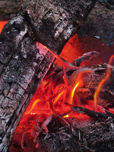 A close-up, vertical, eye-level shot captures the intense glow of a campfire. Large, dark, charred logs dominate the left side of the frame, their rough bark textures clearly visible. To the right, a vibrant inferno of orange and yellow flames consumes smaller branches and embers, casting a fiery light. The ground is covered in ash and dry debris, typical of a forest setting. The scene conveys the raw power and heat of a fire. No specific location in Vladimirovka, Russia, is identifiable.