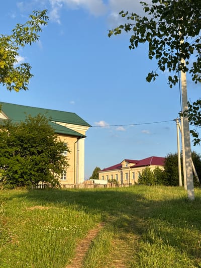 The image depicts a sun-drenched, rural landscape in Zhodzina, Belarus. In the foreground, a dirt path winds through tall, green grass dotted with small white and pink wildflowers. To the left, a large building with a green, pitched roof and light-colored walls with white window frames is partially obscured by a dense, green bush. Further in the distance, a second, long building with a dark red, pitched roof and similar light-colored walls with multiple windows is visible, surrounded by trees. A concrete utility pole with electrical wires stretching across the frame stands to the right of the path, casting a shadow on the grass. The sky is a clear blue with a few scattered white clouds. The scene conveys a sense of peaceful, rural living.