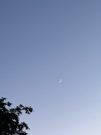 The image depicts a clear, pale blue sky during the daytime, with a crescent moon visible in the upper right quadrant. Below and to the left of the moon, a small, bright dot, likely a planet or a star, is also visible. In the lower right corner of the frame, the dark silhouette of the top branches and leaves of a tree is present, partially obscuring the sky. The sky appears to be a light, hazy blue, suggesting a bright but possibly slightly overcast or hazy day, or perhaps it is nearing dusk or dawn. The overall mood of the image is serene and celestial, with the natural elements of the sky and the tree creating a quiet, observant scene. No people or text are visible in the image. The location context suggests this scene was captured in Grushevskaya, Russia.
