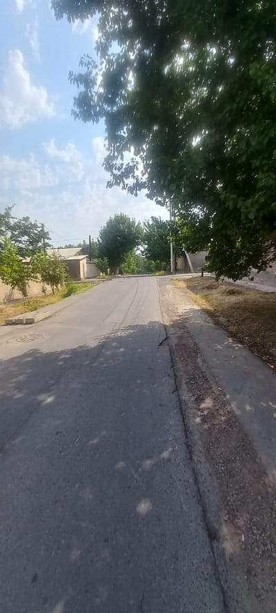 The image depicts a sun-drenched, asphalt road in Almalyk, Uzbekistan. Lush green trees with dappled sunlight filtering through their leaves line the sides of the road, casting shadows on the pavement. The road itself appears to be in a residential area, with low-slung buildings and walls visible in the background. The sky is a bright blue with fluffy white clouds, indicating fair weather. The road shows signs of wear and tear, with cracks and patches visible in the asphalt. There are no people or vehicles present in the scene. The overall impression is one of a quiet, rural street on a clear, warm day.