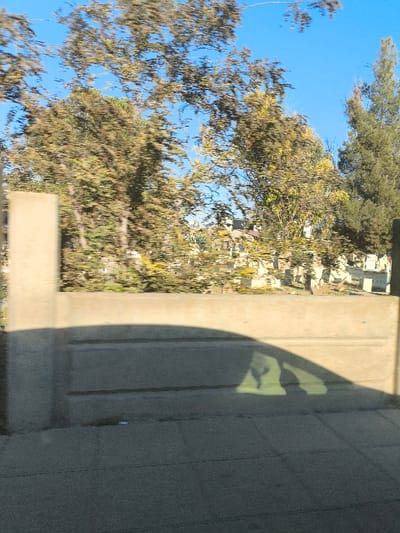 The image depicts an exterior daytime scene captured from a moving vehicle, located in Gonyeli, Northern Cyprus / Cyprus. The lower half of the frame is occupied by a light-colored concrete barrier featuring two horizontal recessed lines. A distinct, irregular shadow, consistent with internal vehicle components such as a dashboard and A-pillar, is cast upon the barrier and the paved surface directly below it. A partial concrete pillar is visible on the far left. Behind the concrete barrier, a densely packed area contains numerous light-colored, rectangular, block-like structures, identifiable as grave markers within a cemetery. These markers are interspersed with and partially obscured by a variety of trees and shrubs exhibiting green and yellowish-brown foliage. The upper portion of the image reveals a clear blue sky. In the distant background, beyond the trees, indistinct buildings or structures are visible. No individuals or specific actions are discernible. Motion blur is evident in the foliage, indicating vehicular movement during image capture.